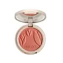 Пудровые шелковые румяна Artdeco Silky Powder Blush 20 Terracota Cheeks 4 г (556643)