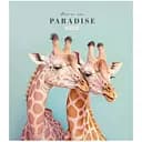 Зошит загальний Школярик Love in paradise в лінійку 48 аркушів УФ-лак 10 шт. (048-3256L)