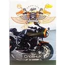 Тетрадь-словарь по иностранному языку Апельсин American Rider Authentic АП-0502-5 В5 на скобе