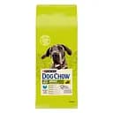 Сухой корм для собак больших пород Dog Chow Large Breed Adult 2+, с индейкой, 14 кг