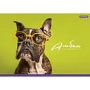 Альбом для малювання Школярик Пес в окулярах 20 аркушів (PB-GB-020-465)