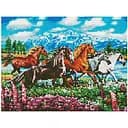 Алмазна мозаїка Rainbow Табун коней Art EJ1365, 40х30 см