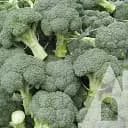 Капуста броколі Садиба Агассі F1, 10 шт.