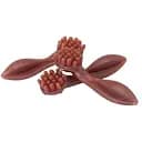 Стоматологічні ласощі для собак Camon Овочеві ласощі у формі зубної щітки зі смаком гвоздики 9.5 г червоні