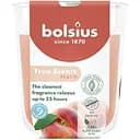 Свеча Bolsius True Scents в стекле 80/73 мм Персик (930380)