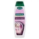 Шампунь Palmolive Beauty Gloss, 350 мл (895715)