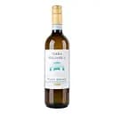 Вино Terra Italianica Pinot Grigio Delle Venezie DOC біле сухе 0.75 л