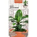 Насіння Банан декоративний Насіння України кімнатний 0.1 г (745500)