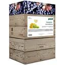 Вино столове Picnic Тамянка чорноморська напівсолодке біле 9-12% 10 л