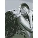 Алмазная мозаика Разжигание страсти AMO7929 30х40см