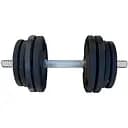 Гантель наборный металлический Newt Home Profi TI-968-17 16.5 кг