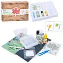 Дитячий набір для творчості "Сухоцвіт" FG231102005M, пінцет, фарба, застигаюча рідина