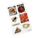 Дитячий стікерпак А6 3D Hedonism СS-VS-007 на вініловій основі