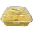 Контейнер для яиц Violet House 0049 Sari, 32 шт., желтый (0049 SARI д/яиц 32)