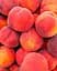 Саженец Agro-Market Персик Кондор (летний сорт, средний срок созревания) (35991) 1 шт. в упаковке - миниатюра 2