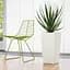 Вазон Lechuza Cubico АІС, 14 л, антрацитовий (18184) - мініатюра 6