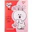 Папка-органайзер Yes Line Friends Cony, A4, на липучке (492104) - миниатюра 1