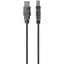 Кабель Belkin USB 2.0 AM/BM 3m (F3U154BT3M) [159804] - миниатюра 1