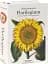Florilegium. The Book of Plants - мініатюра 1