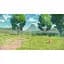 Pokemon Legends Arceus (англійська версія) (Nintendo Switch) - мініатюра 8