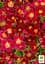 Саженец Agro-Market Камнеломка Арендса Highlander Red (179317) - миниатюра 3