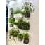 Кашпо Plastkon Cobble Trio Flower Lover с системой автополива 40x14x14 см светло-зеленое - миниатюра 4