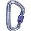 Карабін Black Diamond LiteForge Screwgate Carabiner Сірий (1033-BD 210248.1003) - мініатюра 1