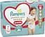 Підгузки-трусики Pampers Premium Care Pants Розмір 7 (15+ кг) 36 шт.  - мініатюра 2