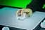 Мышь Razer Viper V4 PRO Wireless White (RZ01-05630200-R3G1) - миниатюра 8