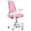 Детское кресло Evo-Kids Mio Ergo Pink (Y-507 KP) - миниатюра 1