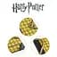 Записна книжка Harry Potter Huffelpuff Jornal (Гаррі Поттер) - мініатюра 4