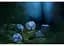 Набор кубиков Elvish Cobalt & Silver Dice Set , 7 шт. (SELV10) - миниатюра 5