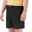 Шорты Picture Organic Shooner Stretch 32 Черный - миниатюра 1