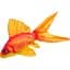 Подушка 3KBaits Золотая рыбка NEW 50 х 30 см - миниатюра 1