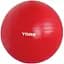 Фітбол York Fitness 55см червоний + насос - мініатюра 1