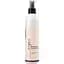 Двофазний кондиціонер ProfiStyle Argan з аргановою олією для сухого та пошкодженого волосся 250 мл - мініатюра 1