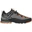 Кросівки AKU Rock DFS II GTX 9.5 Grey/Orange - мініатюра 2