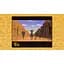 Disney Classic Games Collection: Aladdin, The Lion King, The Jungle Book (Nintendo Switch) - миниатюра 7