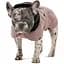 Попона для собак Pet Fashion Max М3 бежевая - миниатюра 2