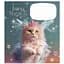 Зошит учнівський Fairy cats Школярик 012-3316K-3 в клітку 12 аркушів - мініатюра 1