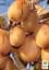 Саженец Agro-Market Киви самоопыляющийся Генрих 1 шт. в упаковке (47129) - миниатюра 3