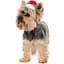 Колпак для собак Pet Fashion новогодний XS - миниатюра 4