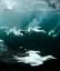 The Science of the Ocean. The Secrets of the Seas Revealed - мініатюра 7