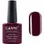 Гель-лак Canni Color Coat Soak-off UV&LED 258 насичений глибокий марсала 7.3 мл - мініатюра 1