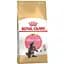 Сухой корм для котят до 15 месяцев породы мейн-кун Royal Canin Maine Coon Kitten с курицей 0.4 кг - миниатюра 1