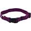 Нашийник для собак Coastal New Earth Soy Dog Collar соєвий еко Фіолетовий L 2.5 х 46-66 см - мініатюра 1