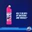 Засіб для чищення універсальний Domestos Pink Power 750 мл - мініатюра 3