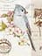 Альбом UFO 20sheet Bird 22х32см (20sheet S22x32 Bird) - мініатюра 1