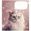 Зошит учнівський Fairy cats Школярик 012-3316K-4 в клітку 12 аркушів - мініатюра 1