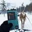 Грілки Haago Foot Warmers Small 37-39 х 20 пар (WINTER-HAAGO-FWS-PACK) - мініатюра 5